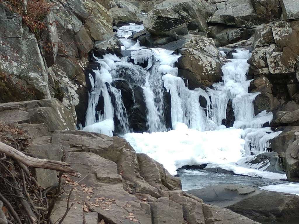 Scotts Run Falls | McLean, VA 22102, USA