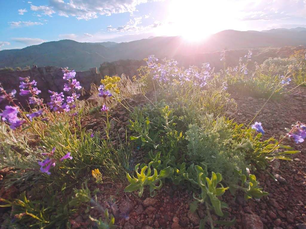 Lichen Peak | Golden, CO 80403, USA