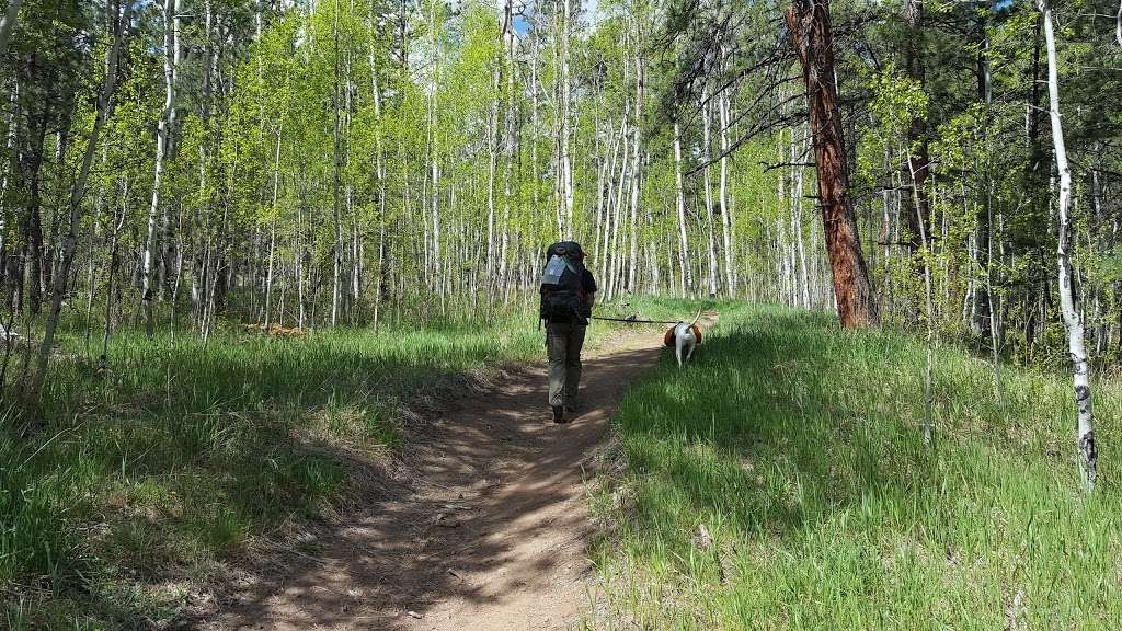 Brookside-McCurdy Trailhead | Bailey, CO 80421, USA