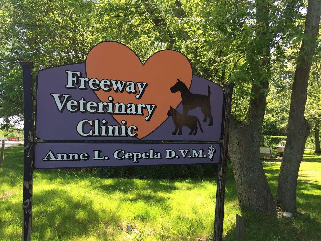 Freeway Veterinary Clinic | 5200 Red Arrow Hwy, Stevensville, MI 49127 | Phone: (269) 429-4091