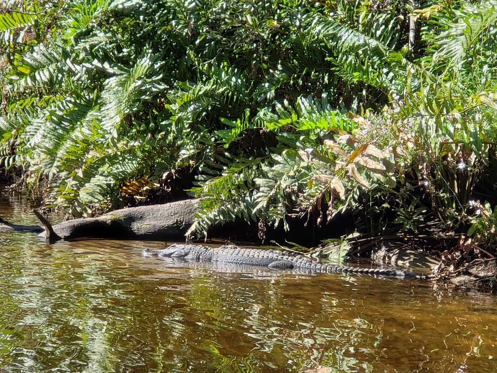 Trapper Nelsons Jungle Zoo and Camp | Jupiter, FL 33458, USA