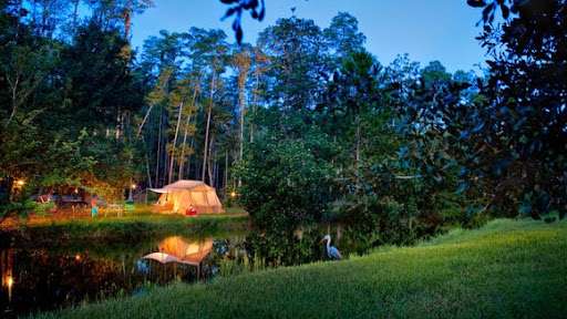 The Campsites at Disneys Fort Wilderness Resort | 4510 N Fort Wilderness Trail, Orlando, FL 32836, USA | Phone: (407) 824-2900