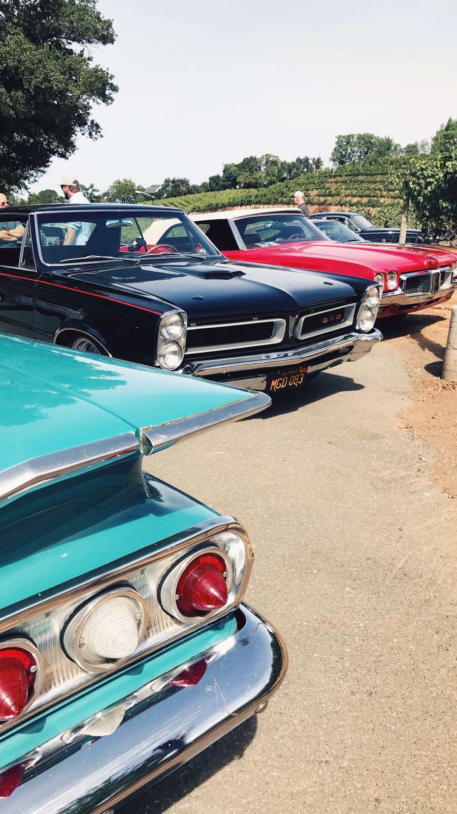 Rental Vintage Classic cars & tours | 67 Manzanita Ave, Novato, CA 94945, USA | Phone: (415) 275-4381