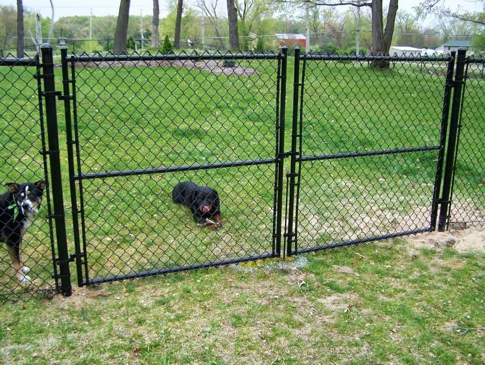 Region Fence Sales,Inc | 1175 Hamilton Ave, University Park, IL 60484, USA | Phone: (708) 534-7300