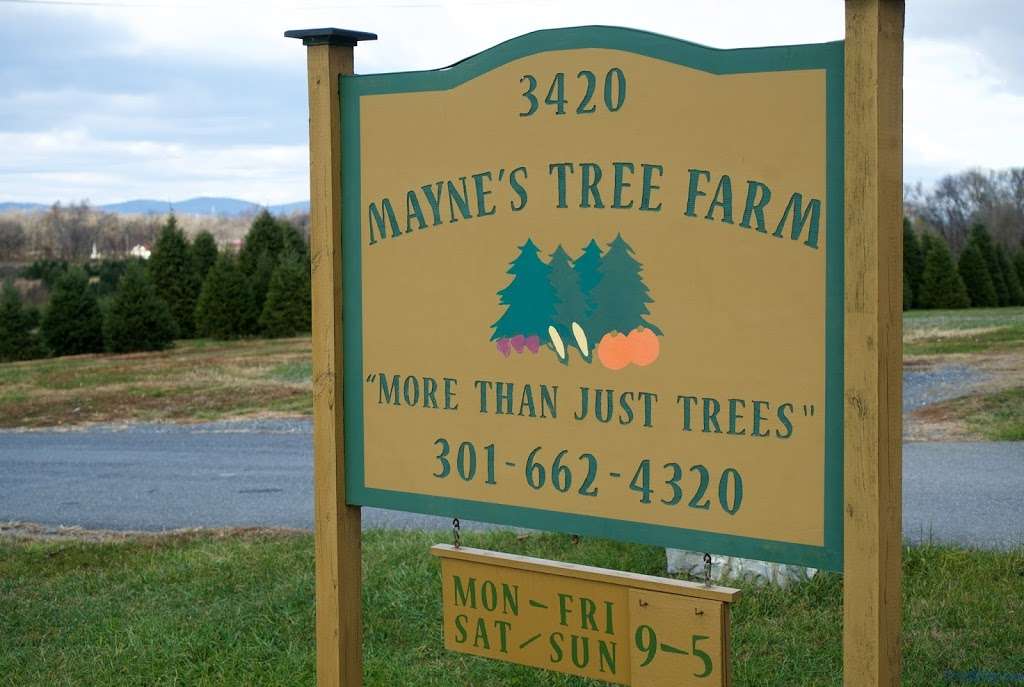 Maynes Tree Farm | 3420 Buckeystown Pike, Buckeystown, MD 21717, USA | Phone: (301) 662-4320