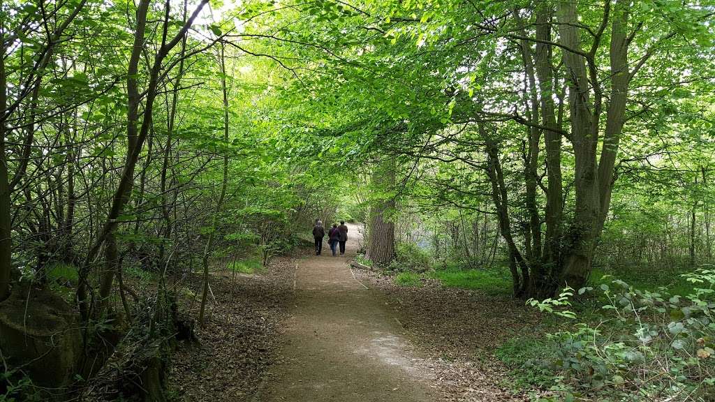 Norsey Wood Local Nature Reserve | Outwood Common Rd, Billericay CM11 1HA, UK | Phone: 01277 624553