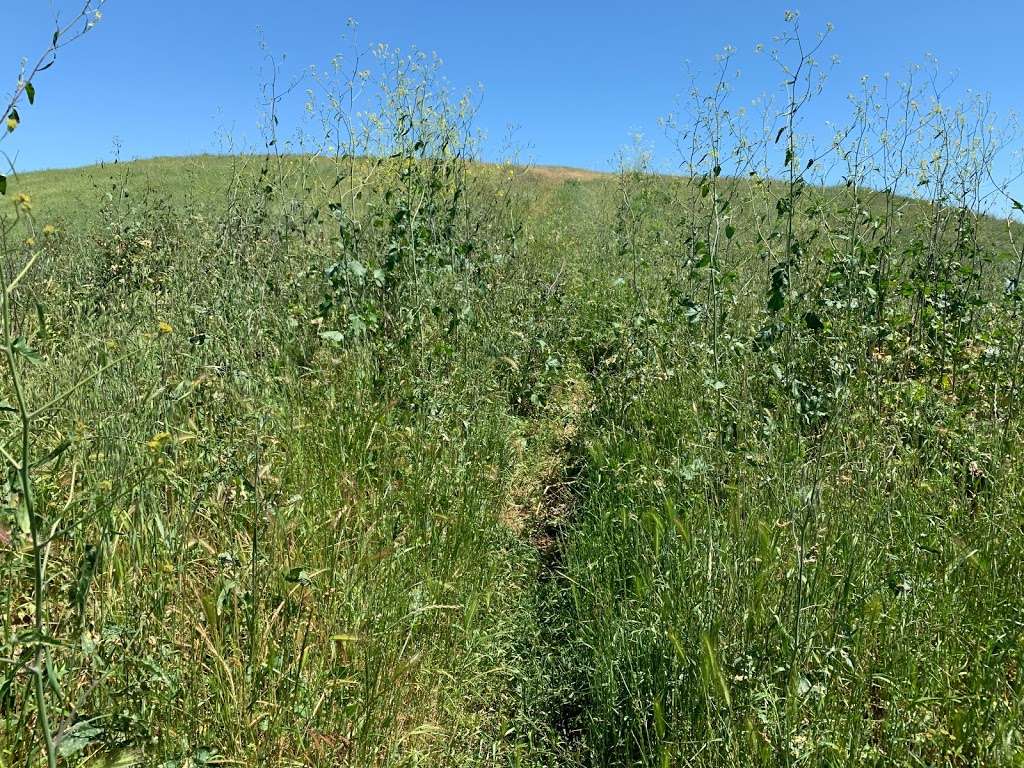 Hilbkorn Open Space Preserve Hiking Trailhead | Fairfield, CA 94534, USA