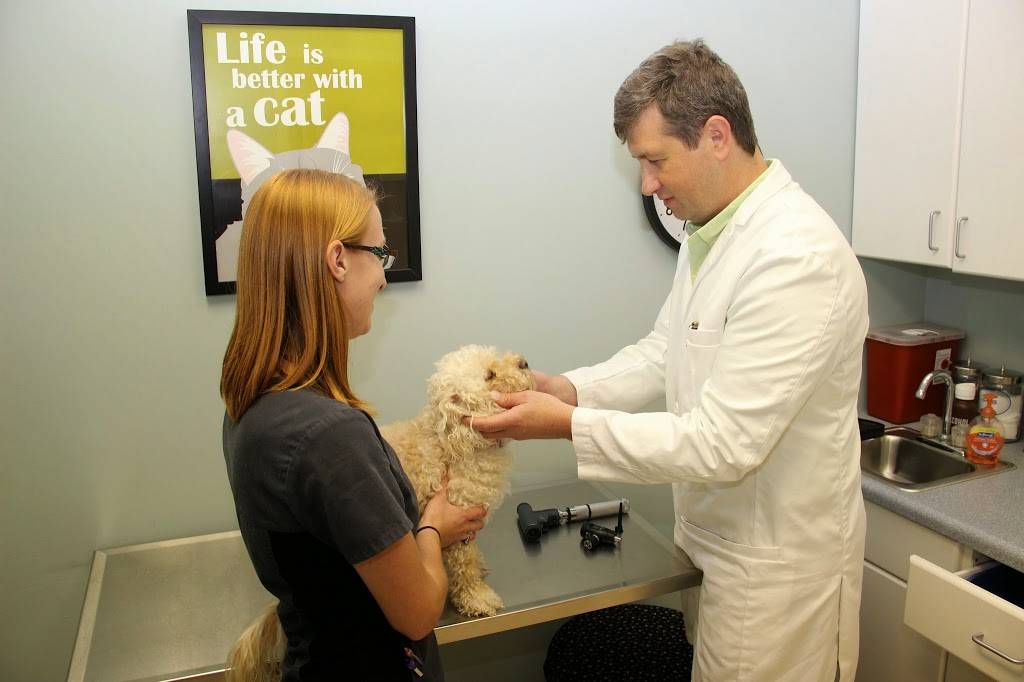 Hilltop Animal Hospital | 3425 N Main St, Fuquay-Varina, NC 27526 | Phone: (919) 567-9700