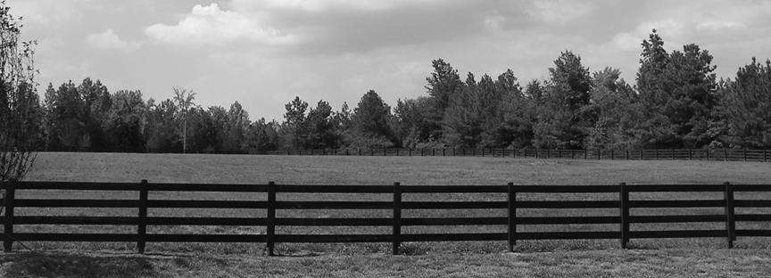 Carolina Farms & Estates, LLC | 1830 Hands Mill Hwy, Rock Hill, SC 29732, USA | Phone: (803) 242-8953