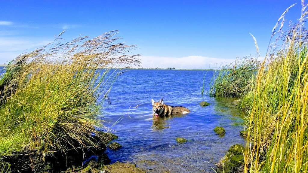 Dow Wetlands Preserve | 1200 W 4th St, Antioch, CA 94509, USA