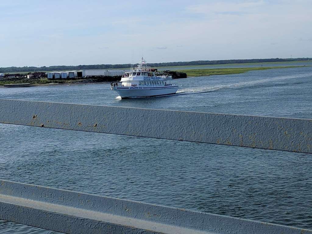 Thunder Cat Dolphin Watch & Speedboat Tours | 1001 Ocean Dr, Wildwood Crest, NJ 08260 | Phone: (609) 523-2628