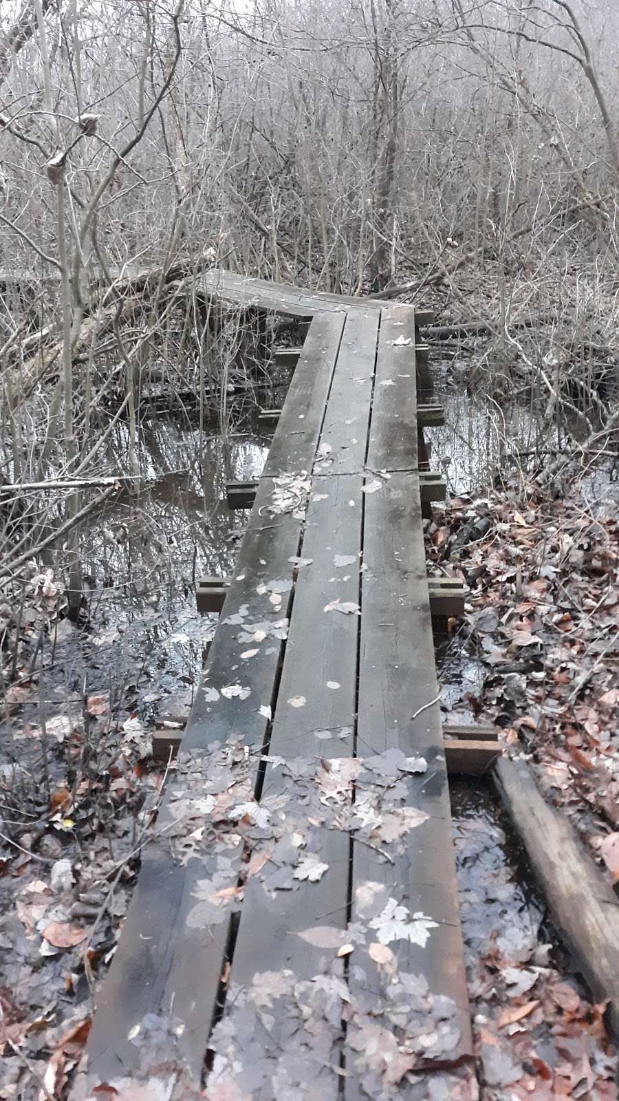 Mud Lake Bog Nature Preserve | 905 E Elm Valley Rd, Buchanan, MI 49107, USA