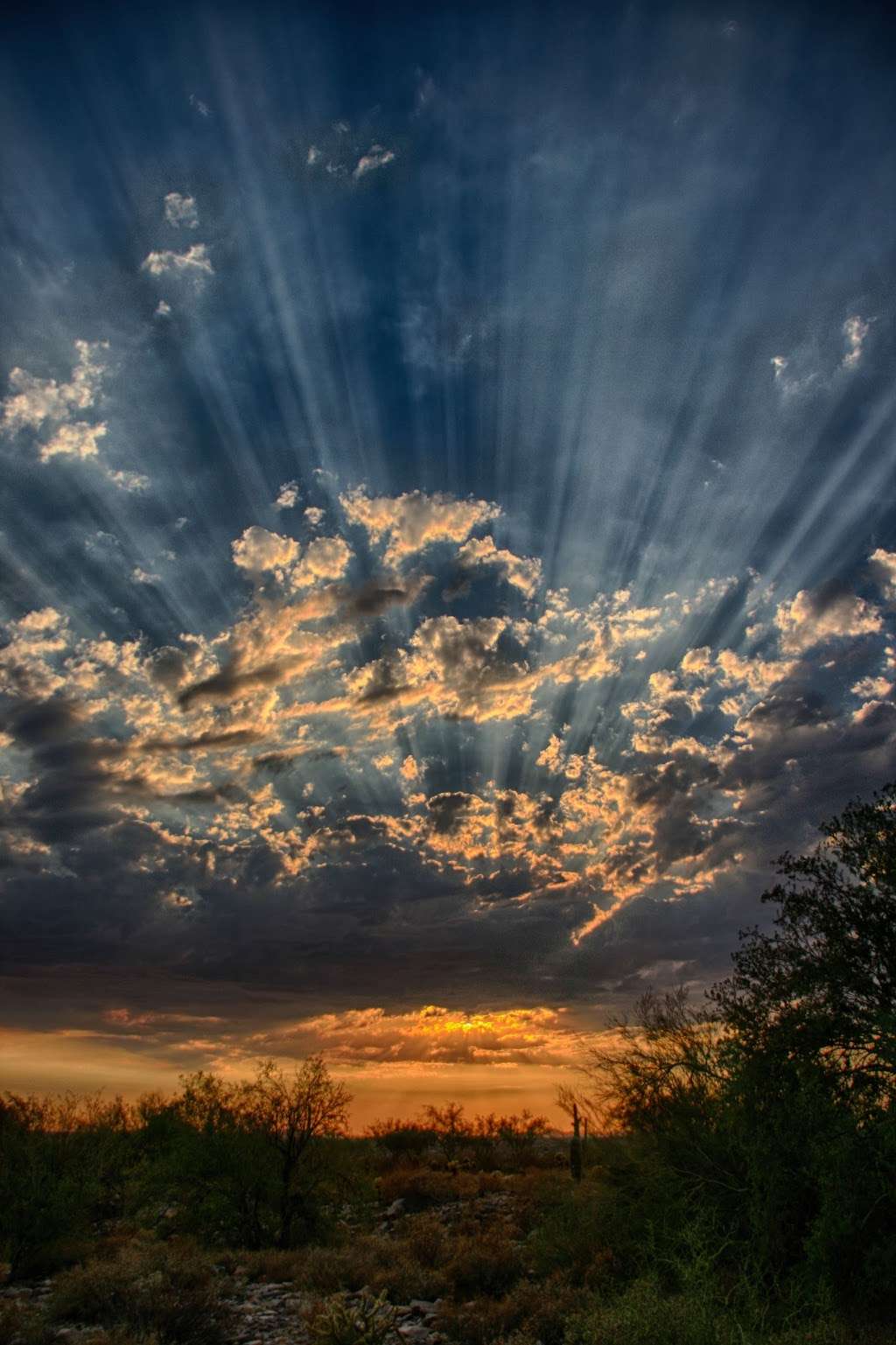 Trail Head Preserve - McDowell Mountains | Scottsdale, AZ 85255, USA