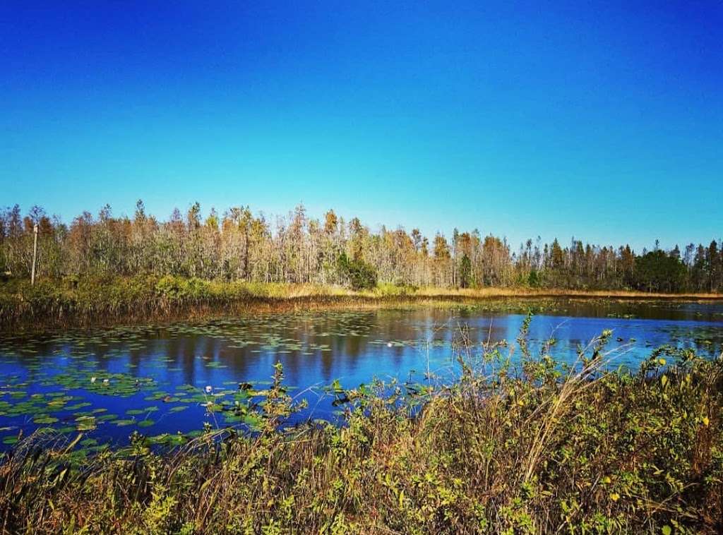 Hilochee WMA | Lake Alfred, FL 33850, USA