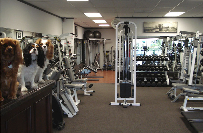 A Private Fitness Studio | 24502 Lyons Ave, Santa Clarita, CA 91321, USA | Phone: (661) 645-9988