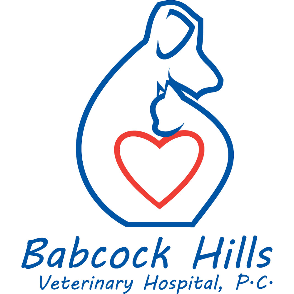 Babcock Hills Veterinary Hospital: Speir Jack DVM | 6600 Prue Rd, San Antonio, TX 78240, USA | Phone: (210) 697-8581