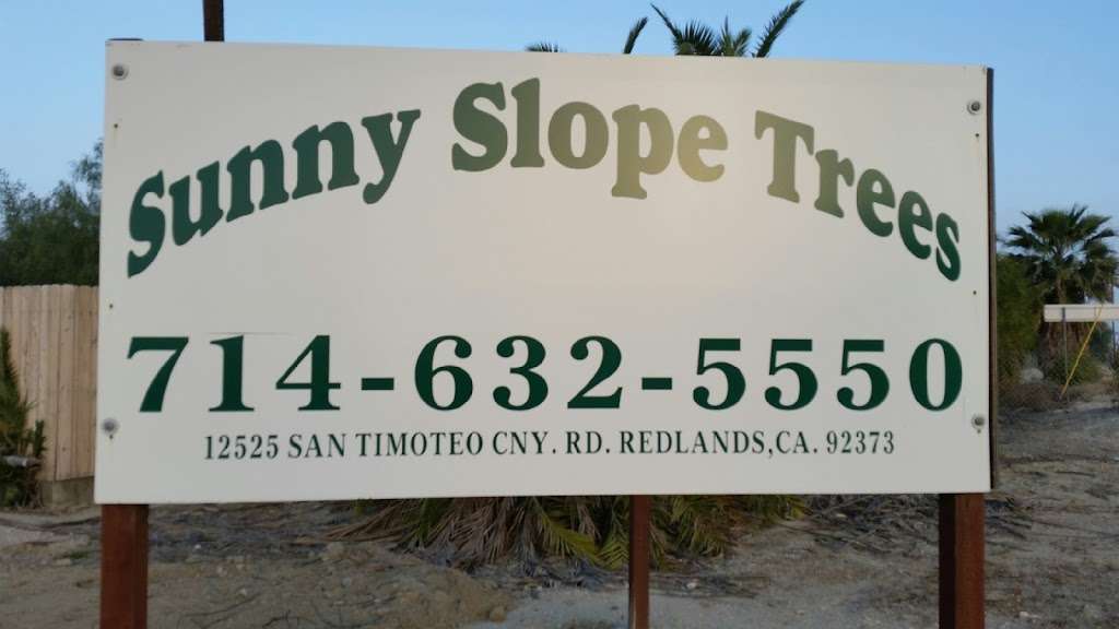 Sunny Slope Tree Farm | 12525 San Timoteo Canyon Rd, Redlands, CA 92373, USA