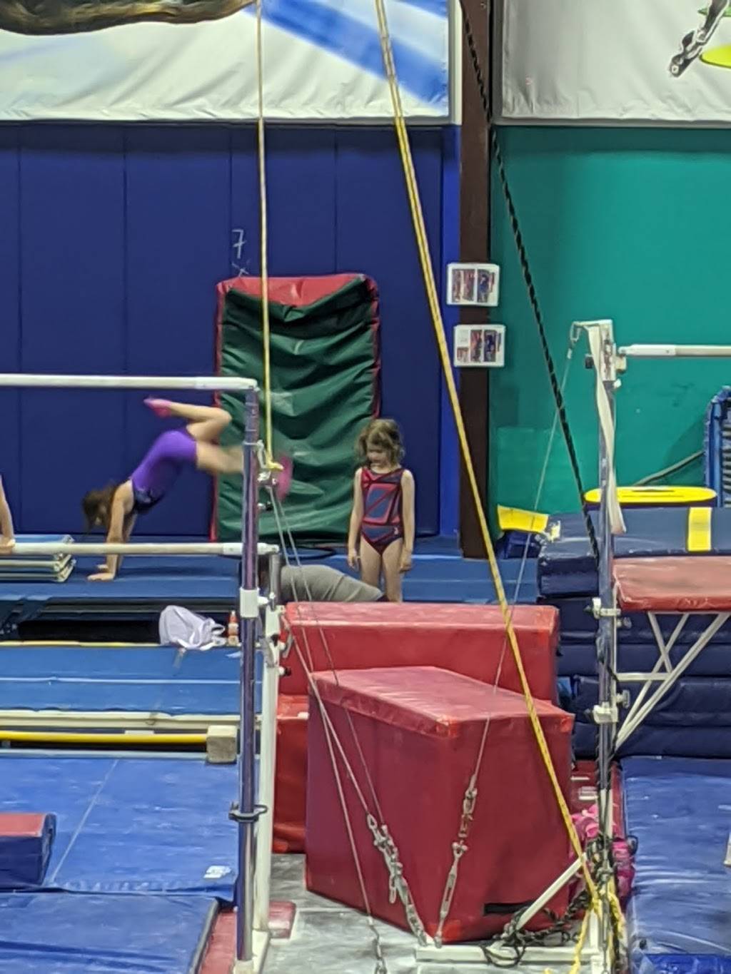 Premier Gymnastics | 10702 Browne St, Omaha, NE 68134, USA | Phone: (402) 571-6630