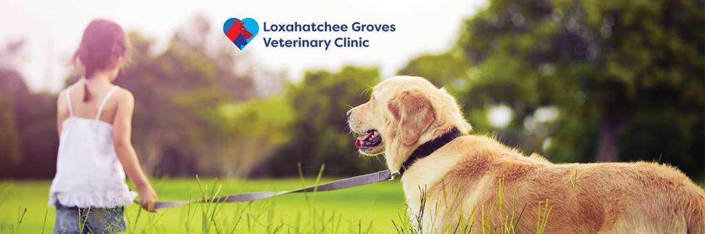 Loxahatchee Groves Veterinary Clinic | 14579 Southern Blvd, Loxahatchee, FL 33470, USA | Phone: (561) 600-8406