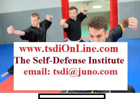 The Self Defense Institute | MGM Plaza, 1721 Main St, Tewksbury, MA 01876, USA | Phone: (978) 863-1460