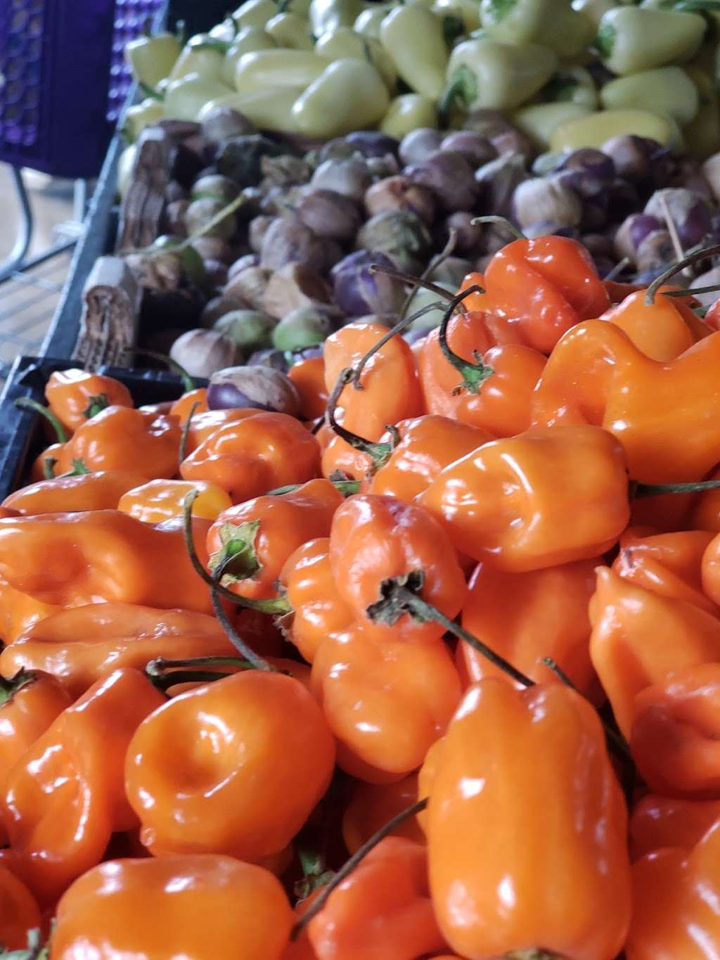 Larry's Produce in 4606 Suisun Valley Rd, Fairfield, CA 94534, USA