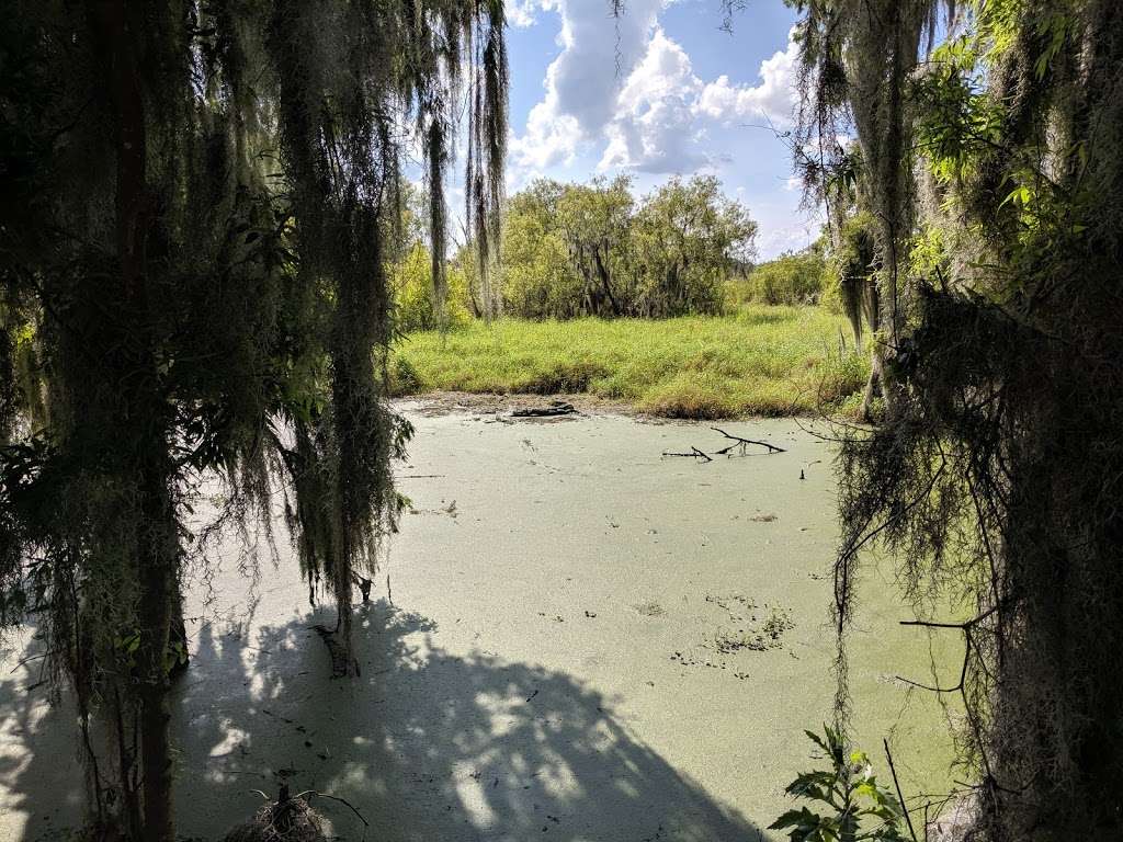 Otter Parking Lot | Discovery Dr, Lakeland, FL 33803, USA