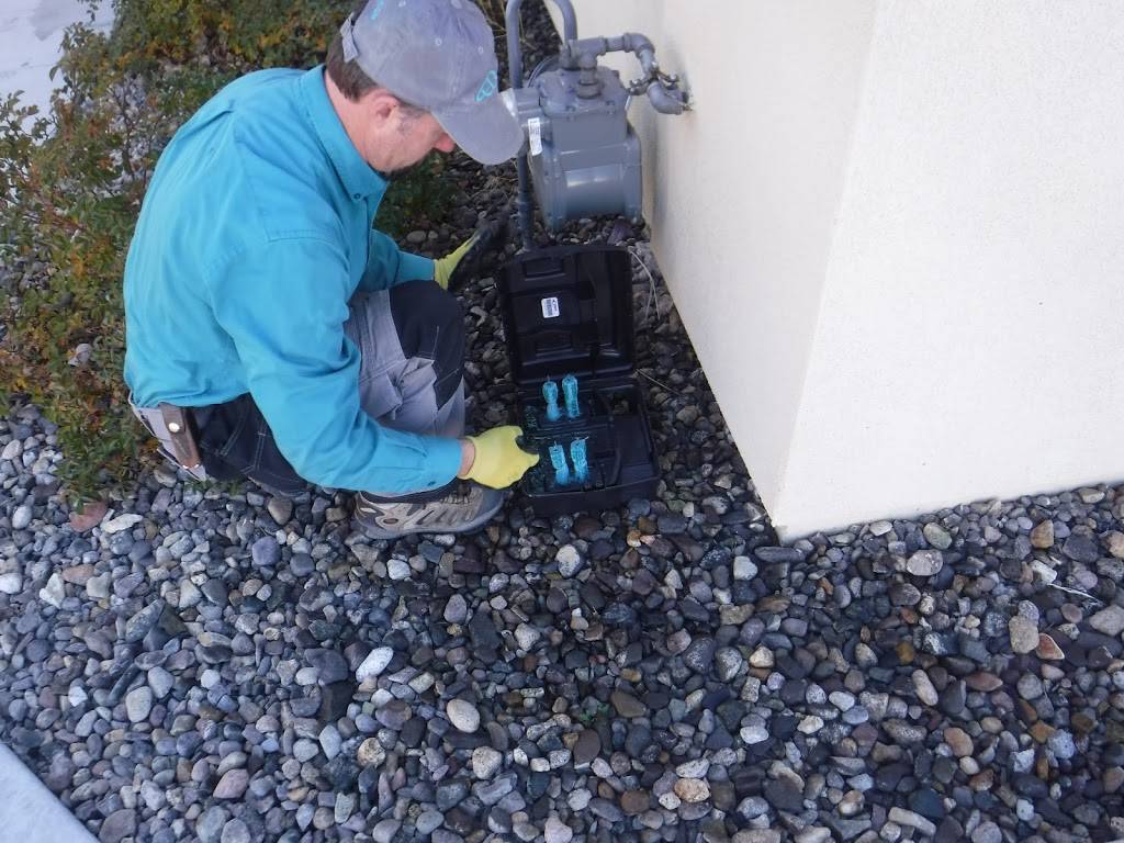 Celtic Pest Inspections and Control Services Inc. | 2900 Vassar Street, Ste CC26, Reno, NV 89502, USA | Phone: (775) 348-7445