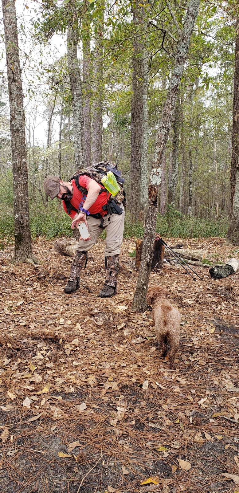 Walk In Camp Sites | Lone Star Hiking Trail, Montgomery, TX 77356, USA