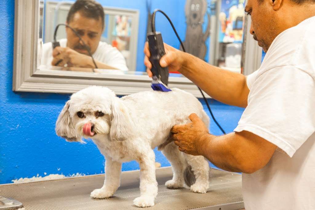 Priden Joy Pet Care Center | 13717 Ventura Blvd, Sherman Oaks, CA 91423 | Phone: (818) 784-6243