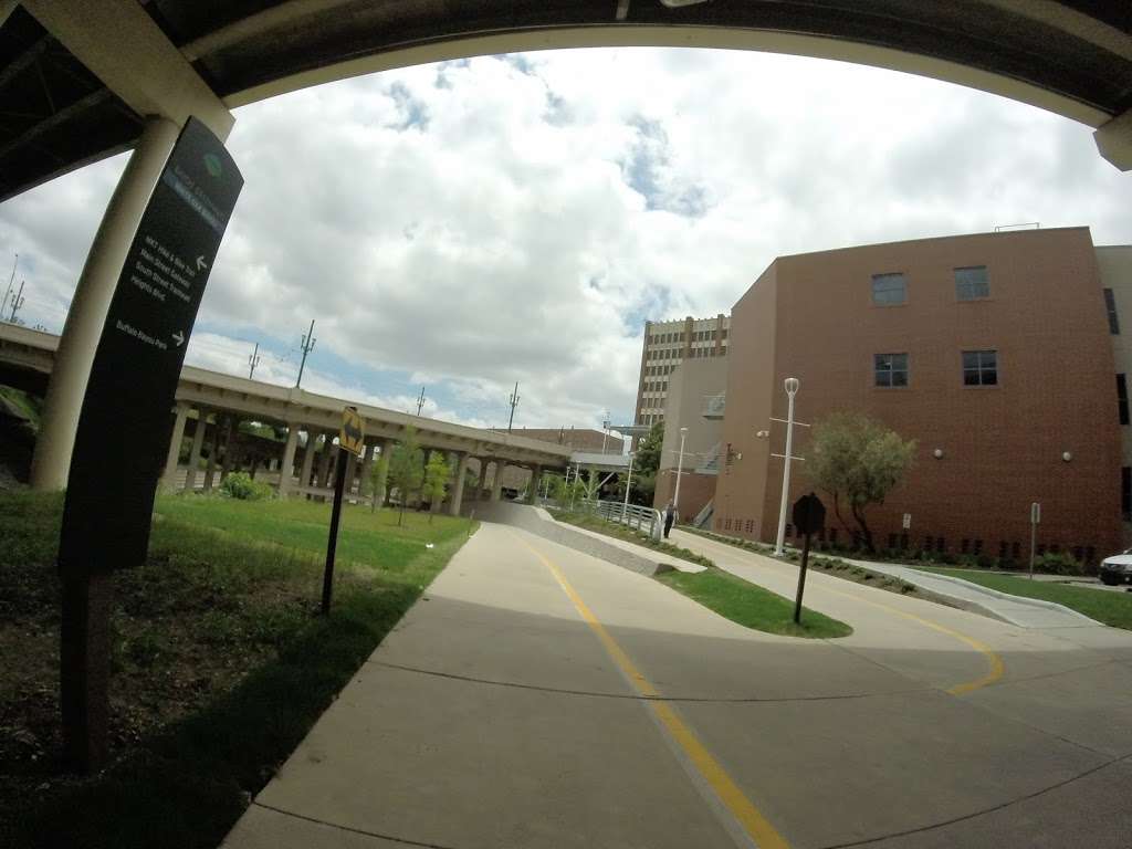 University College | Houston, TX 77002, USA