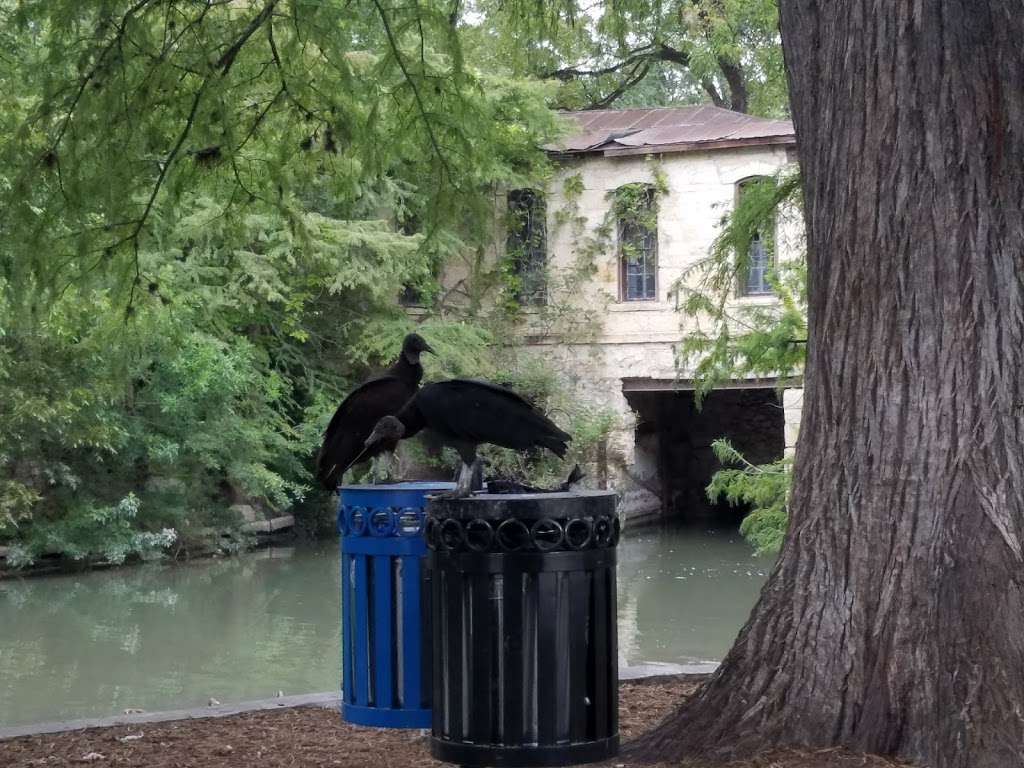 Public Restrooms | San Antonio, TX 78212