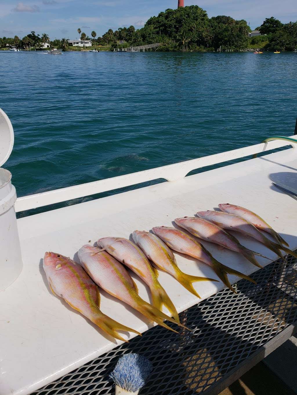 Good Time Charter Fishing | 1111 Love St, Jupiter, FL 33477, USA | Phone: (561) 277-5941