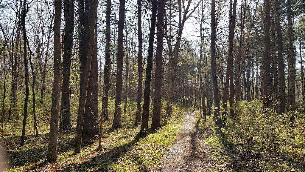 Musquash Conservation Area | Londonderry, NH 03053, USA