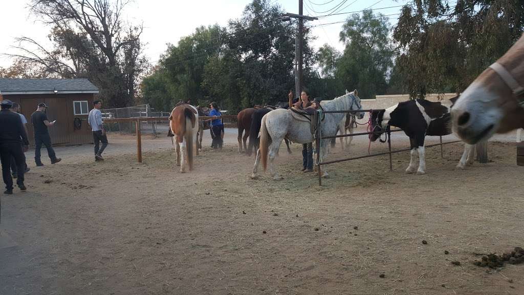 S&D Horseback Riding | 4886 California Ave, Norco, CA 92860, USA | Phone: (909) 645-1270