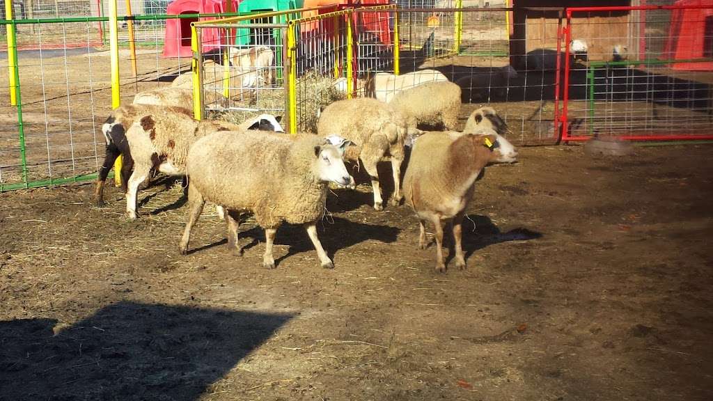 Green Meadows Petting Farm | 73-50 Little Neck Pkwy, Queens, NY 11004, USA | Phone: (718) 470-0224