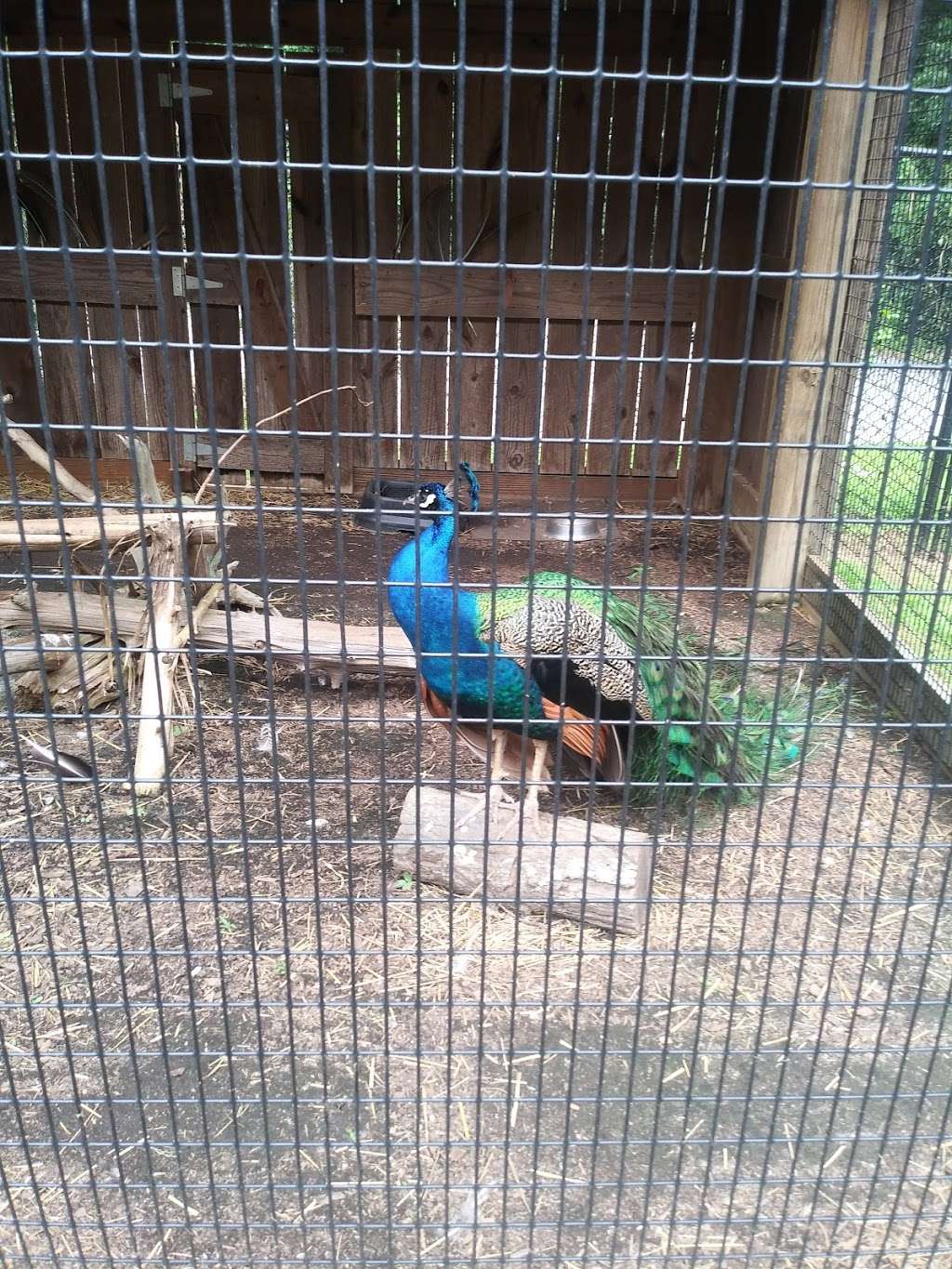 Nature Center | Seth Murdoch Rd, Salisbury, NC 28146, USA Nature Center | Seth Murdoch Rd, Salisbury, NC 28146, USA