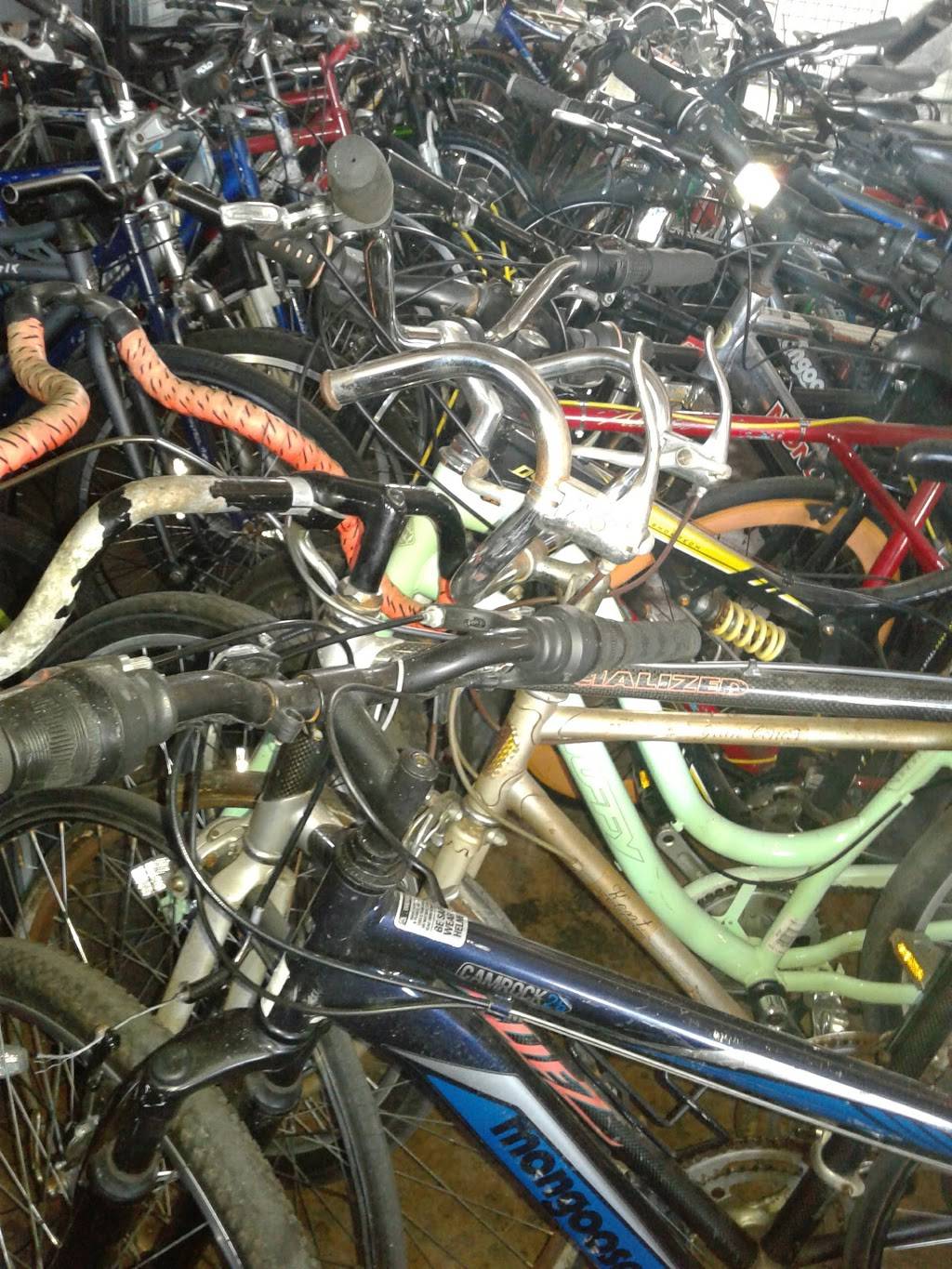 Wynwood Bicycle Shop | 3281 NW 7th Ave Cir, Miami, FL 33127, USA | Phone: (786) 775-9499 Wynwood Bicycle Shop | 3281 NW 7th Ave Cir, Miami, FL 33127, USA | Phone: (786) 775-9499