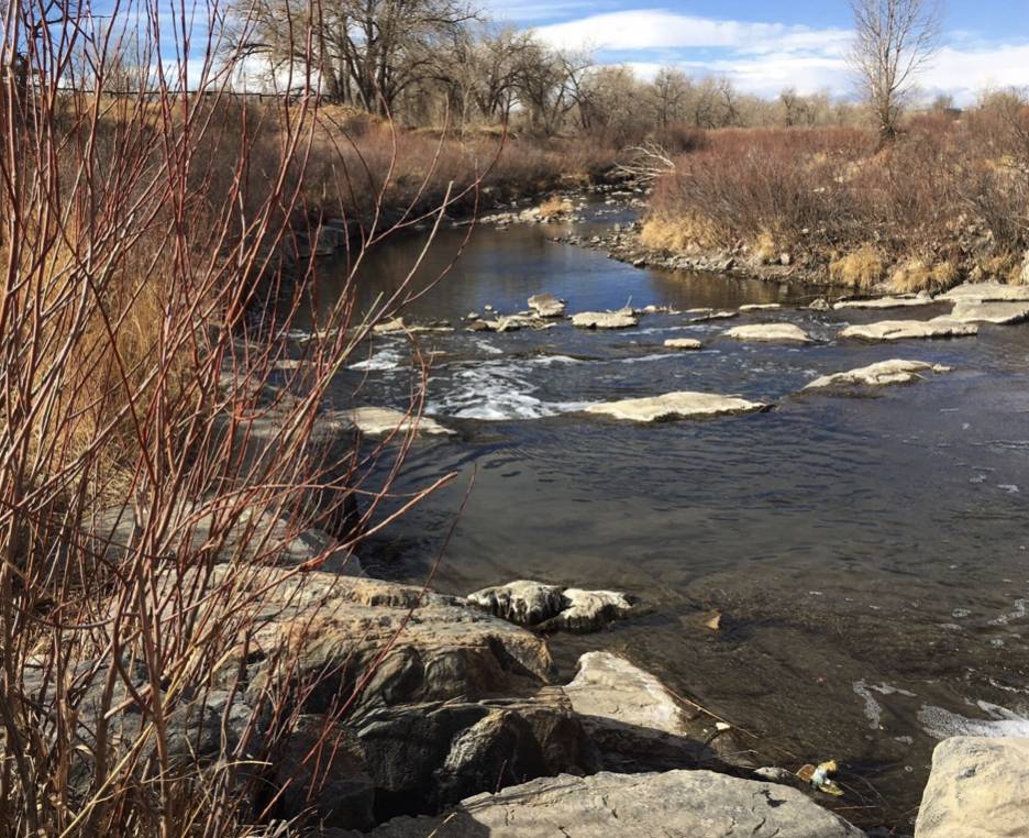 Bluff Lake Park | Sand Creek Regional Greenway, Denver, CO 80239 | Phone: (720) 708-4147