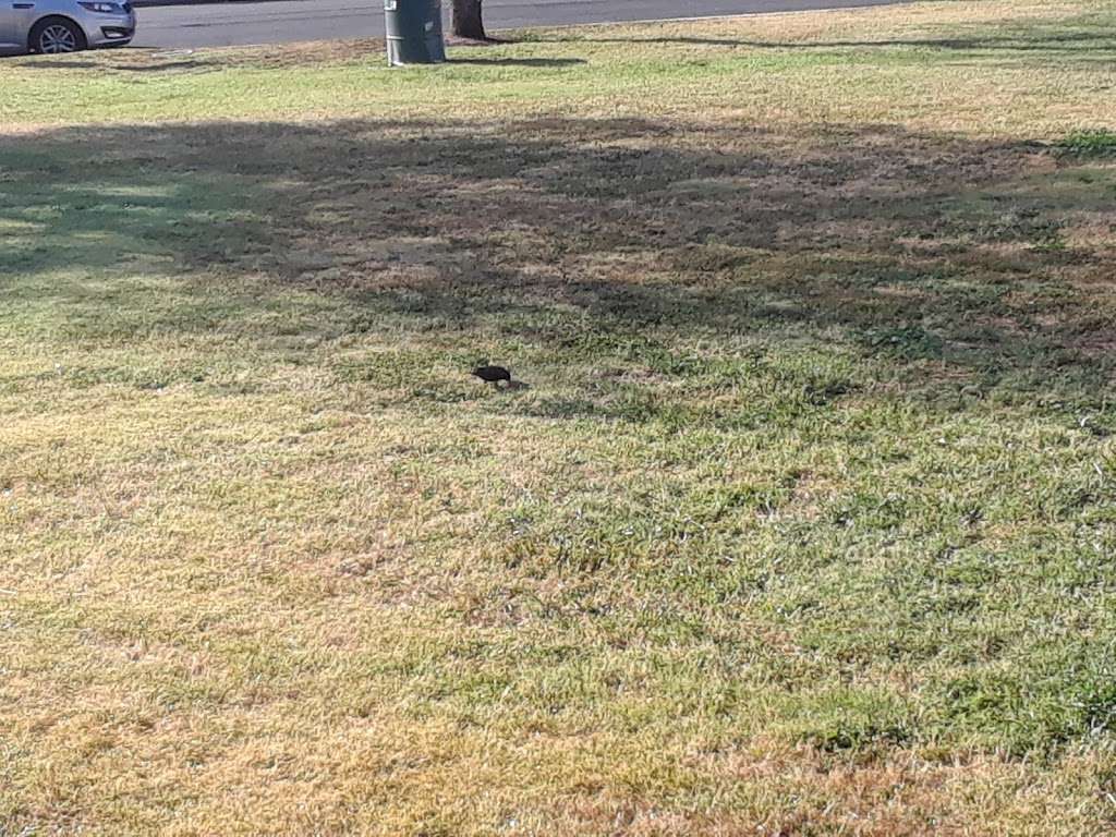 Garvanza Park | 6240 Meridian St, Los Angeles, CA 90042, USA | Phone: (323) 255-0370