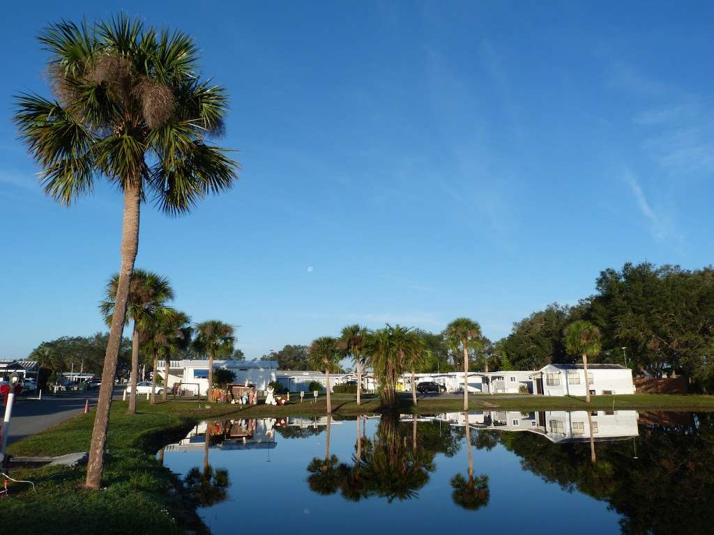 Davenport RV Resort | 2900 Power Line Rd # 300, Haines City, FL 33844, USA