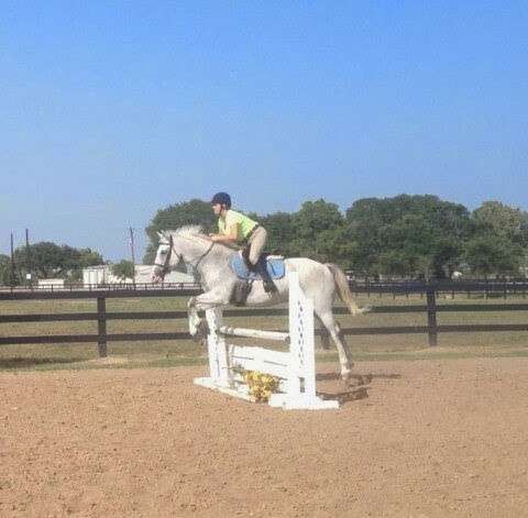 Needville Horseback Riding | 9430 Oberrender Rd, Needville, TX 77461, USA | Phone: (301) 646-3200