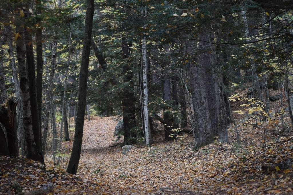 Beaver Brook Association trailhead | Hollis, NH 03049