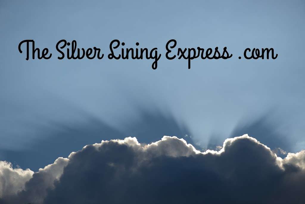 The Silver Lining Express LLC | 1126 E Carob Dr, Chandler, AZ 85286, USA | Phone: (928) 706-0646