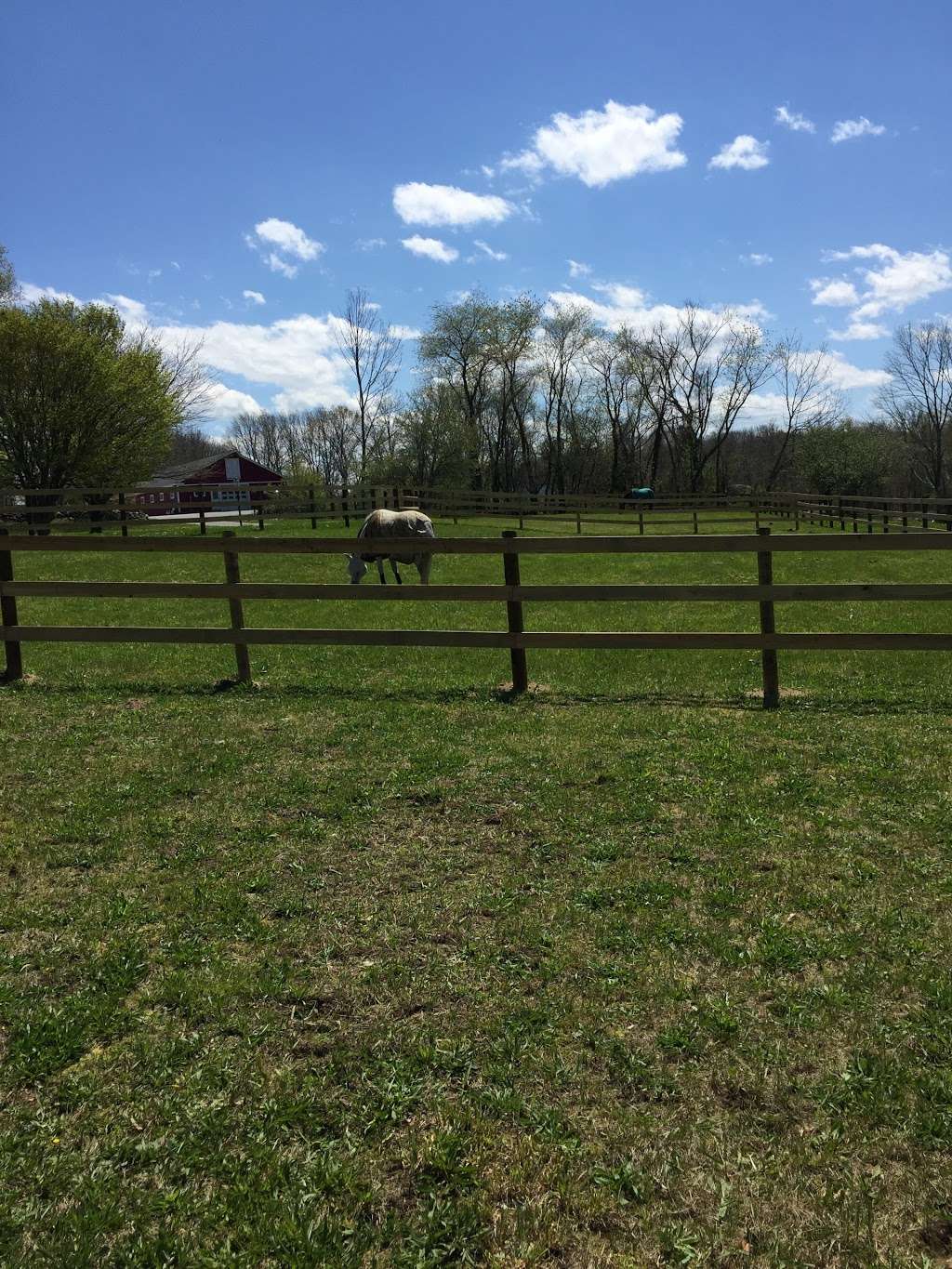 Summer Hill Farm LLC | 14 Rhodes St, Plainville, MA 02762, USA | Phone: (401) 334-9900