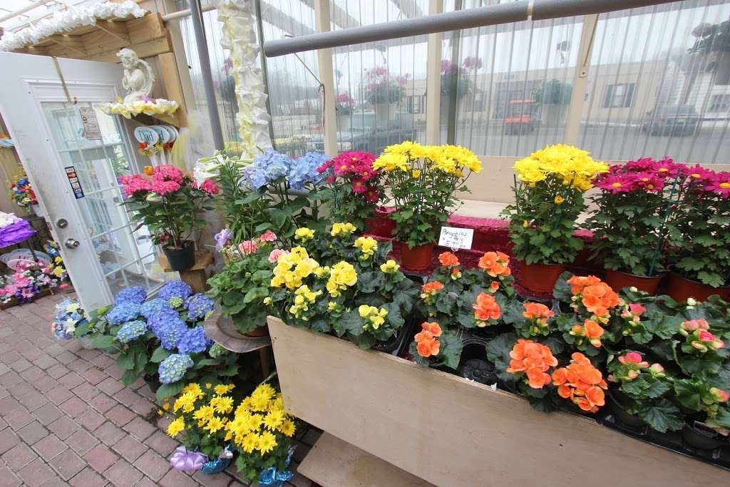 Longford Garden Center | 947 Kuser Rd, Hamilton Township, NJ 08619, USA | Phone: (609) 981-7667