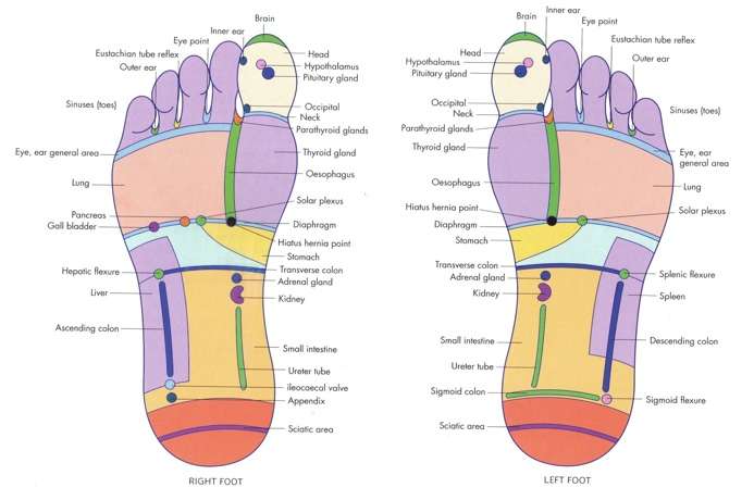 Hannah Smith Reflexology | Trenholme, Swan Ln, Edenbridge TN8 6BA, UK | Phone: 07900 211901