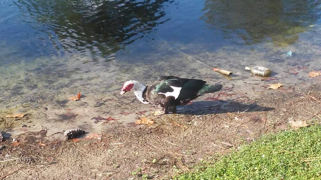 orange park North | 5291 Collins Rd, Jacksonville, FL 32244, USA | Phone: (904) 264-7131