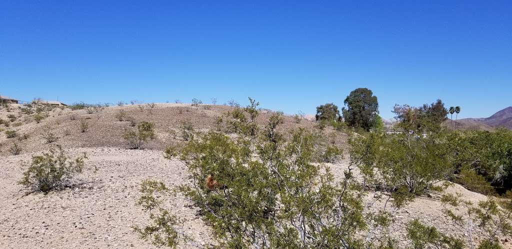 Callville Bay Campground | Overton, NV 89040, USA