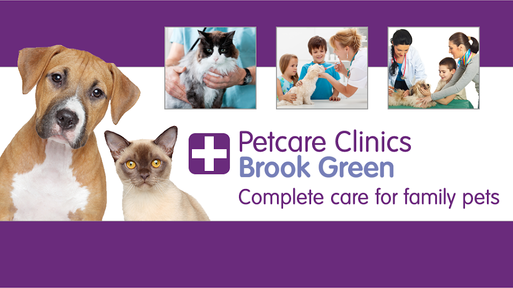 Petcare Clinics Brook Green | 75 Masbro Road, Hammersmith, London W14 0LR, UK | Phone: 020 7603 5150