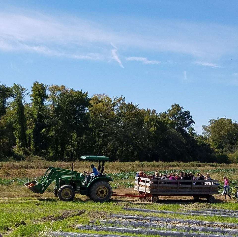 Jones Family Farm | 2107 Philadelphia Rd, Edgewood, MD 21040, USA | Phone: (410) 676-3709